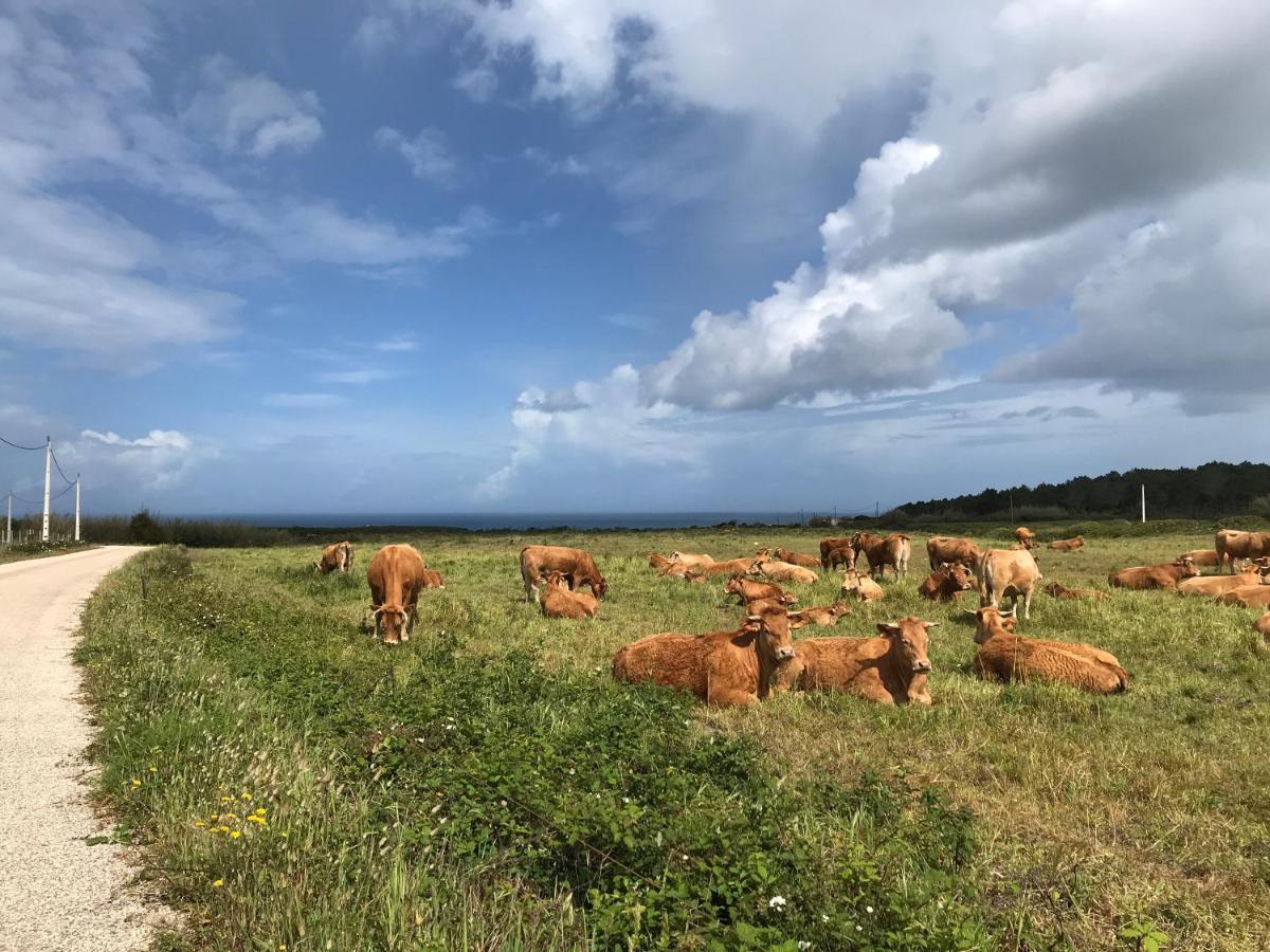 Casinha Da Cabra, Casas Do Poente, Rogil, Aljezur Villa Bagian luar foto